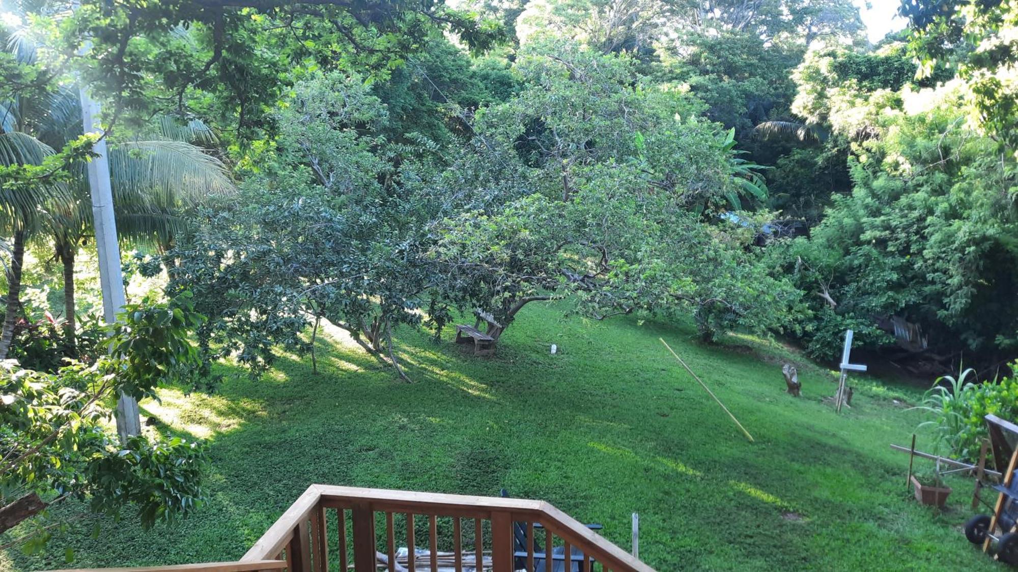 Guava Grove Resort & Villas Sandy Bay エクステリア 写真