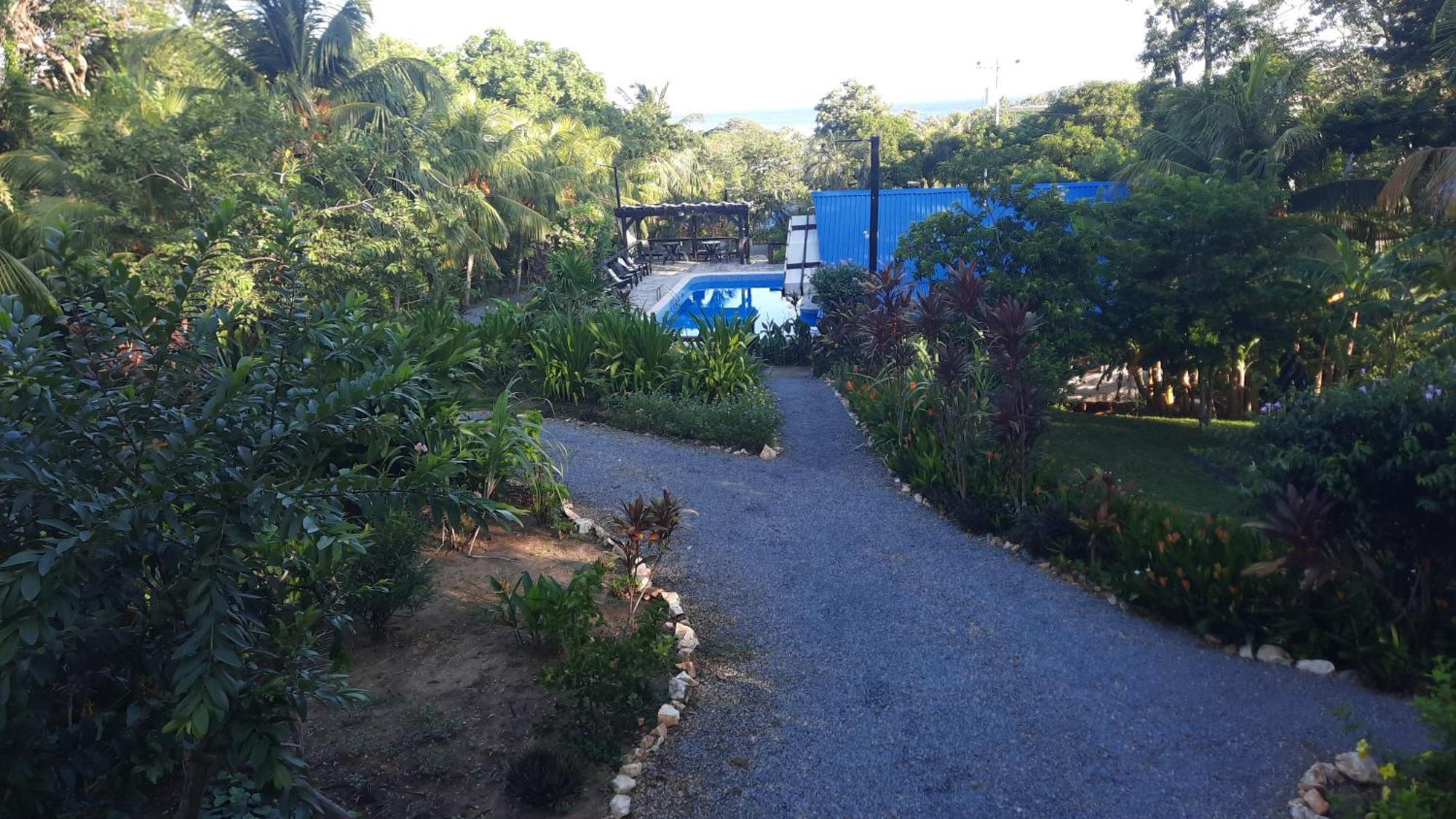 Guava Grove Resort & Villas Sandy Bay エクステリア 写真