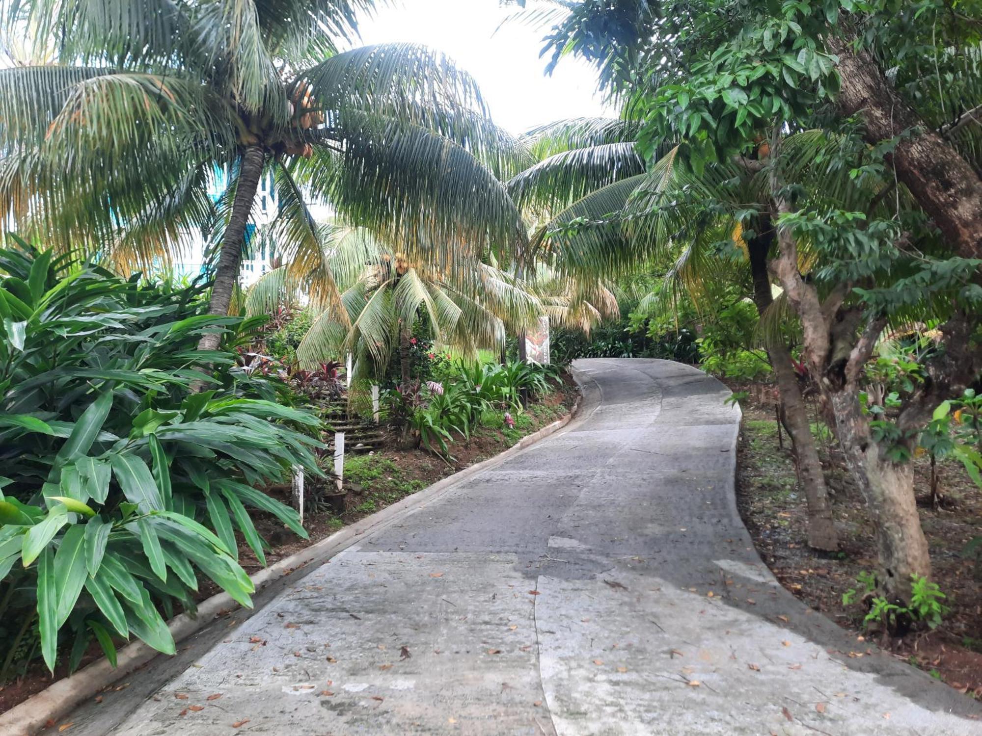 Guava Grove Resort & Villas Sandy Bay エクステリア 写真